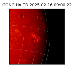 gong - 2025-02-16T09:00:22