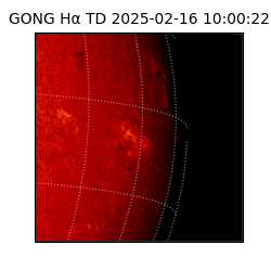 gong - 2025-02-16T10:00:22