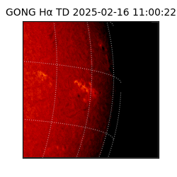 gong - 2025-02-16T11:00:22