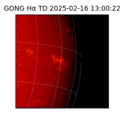 gong - 2025-02-16T13:00:22