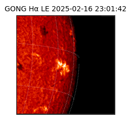 gong - 2025-02-16T23:01:42