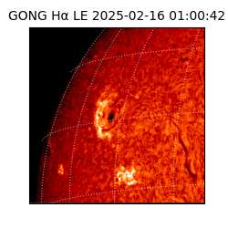 gong - 2025-02-16T01:00:42