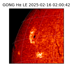 gong - 2025-02-16T02:00:42