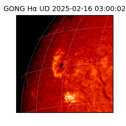 gong - 2025-02-16T03:00:02