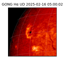 gong - 2025-02-16T05:00:02