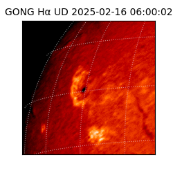 gong - 2025-02-16T06:00:02