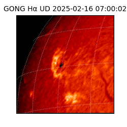 gong - 2025-02-16T07:00:02