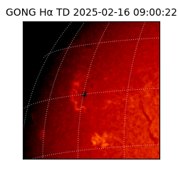 gong - 2025-02-16T09:00:22