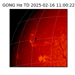 gong - 2025-02-16T11:00:22