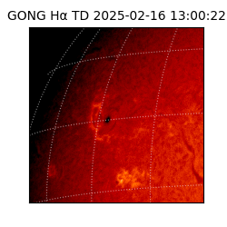 gong - 2025-02-16T13:00:22