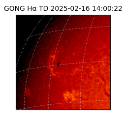 gong - 2025-02-16T14:00:22