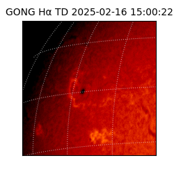 gong - 2025-02-16T15:00:22