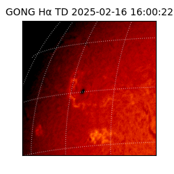 gong - 2025-02-16T16:00:22