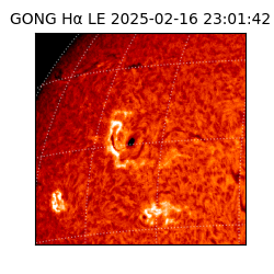 gong - 2025-02-16T23:01:42