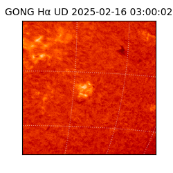 gong - 2025-02-16T03:00:02