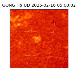 gong - 2025-02-16T05:00:02