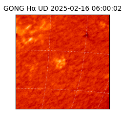 gong - 2025-02-16T06:00:02