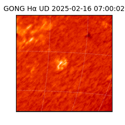 gong - 2025-02-16T07:00:02