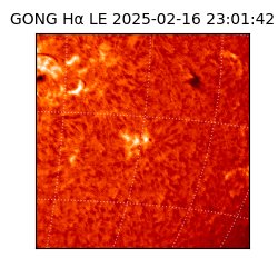 gong - 2025-02-16T23:01:42