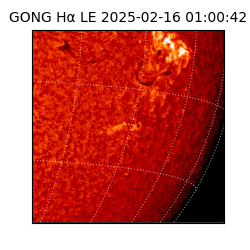 gong - 2025-02-16T01:00:42