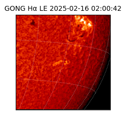 gong - 2025-02-16T02:00:42