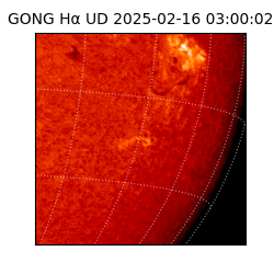 gong - 2025-02-16T03:00:02