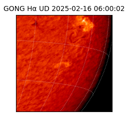gong - 2025-02-16T06:00:02