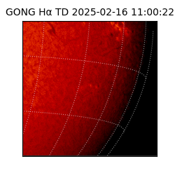 gong - 2025-02-16T11:00:22