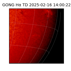 gong - 2025-02-16T14:00:22