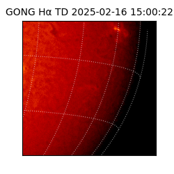 gong - 2025-02-16T15:00:22