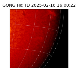 gong - 2025-02-16T16:00:22