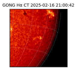 gong - 2025-02-16T21:00:42
