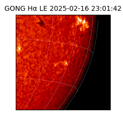 gong - 2025-02-16T23:01:42