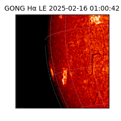 gong - 2025-02-16T01:00:42