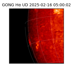 gong - 2025-02-16T05:00:02