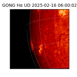 gong - 2025-02-16T06:00:02