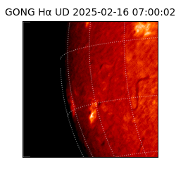 gong - 2025-02-16T07:00:02
