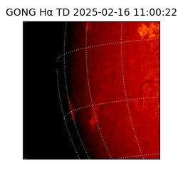 gong - 2025-02-16T11:00:22
