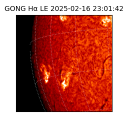 gong - 2025-02-16T23:01:42