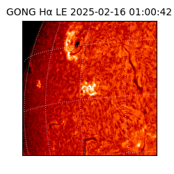gong - 2025-02-16T01:00:42