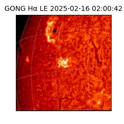 gong - 2025-02-16T02:00:42
