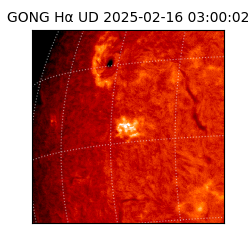 gong - 2025-02-16T03:00:02