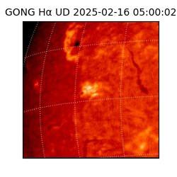 gong - 2025-02-16T05:00:02