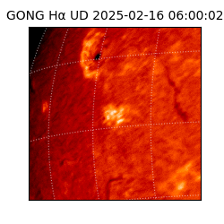 gong - 2025-02-16T06:00:02