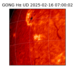 gong - 2025-02-16T07:00:02