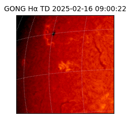 gong - 2025-02-16T09:00:22