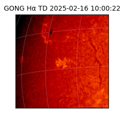 gong - 2025-02-16T10:00:22