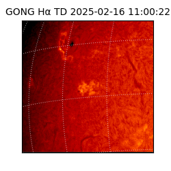 gong - 2025-02-16T11:00:22