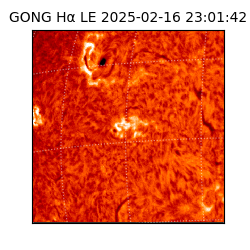 gong - 2025-02-16T23:01:42
