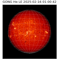 gong - 2025-02-16T01:00:42